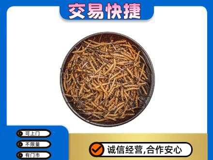 淮南田家庵区回收散虫草